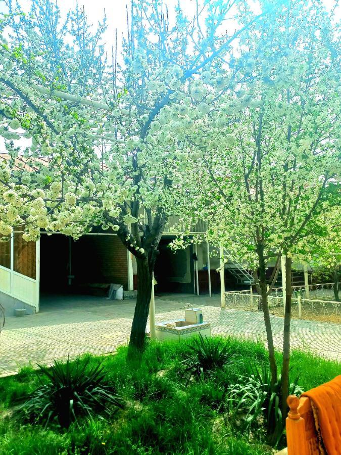 Colibri Traditional Guest House Σαμαρκάνδη Εξωτερικό φωτογραφία